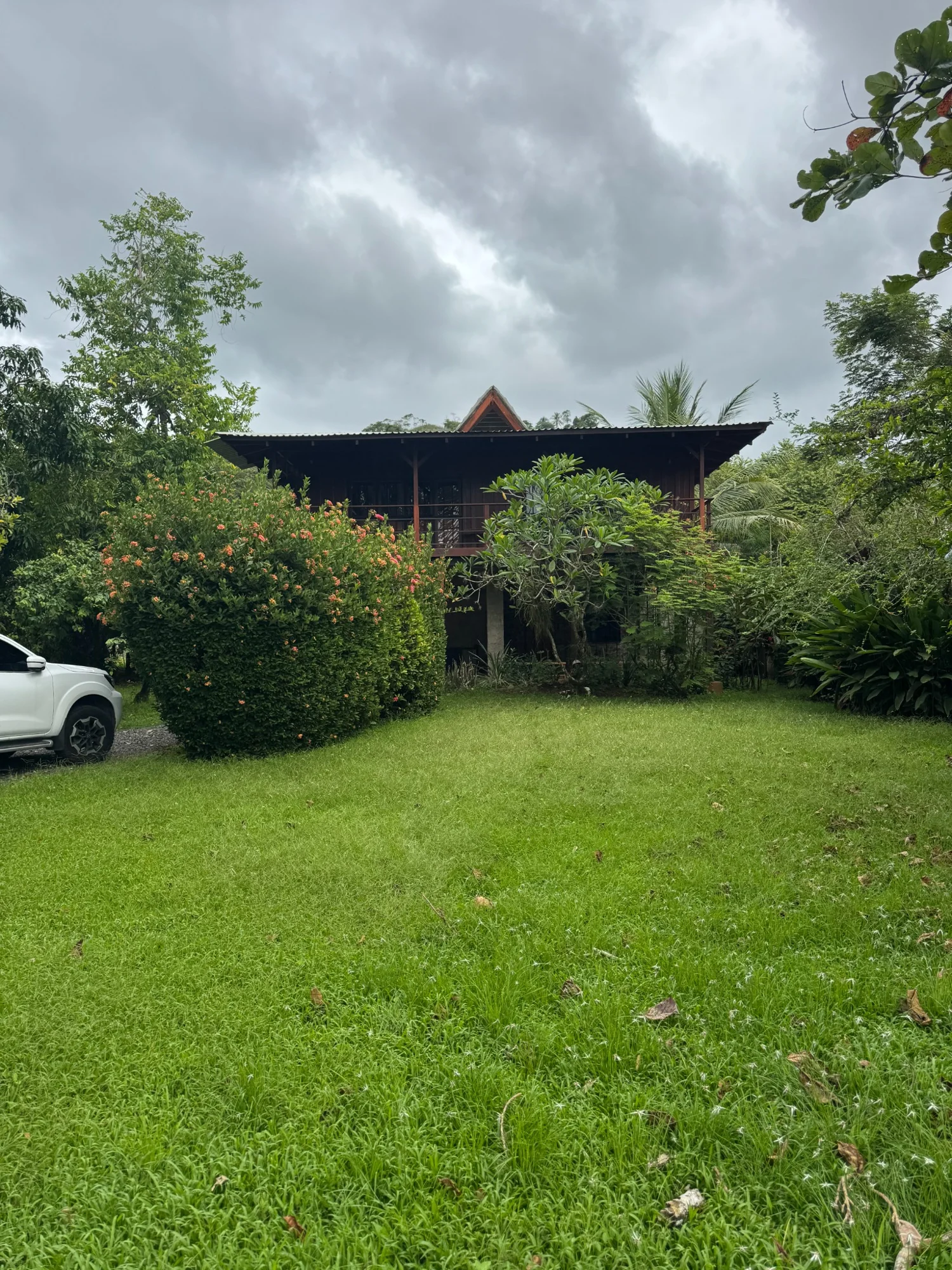 Photograph of the existing house and garden